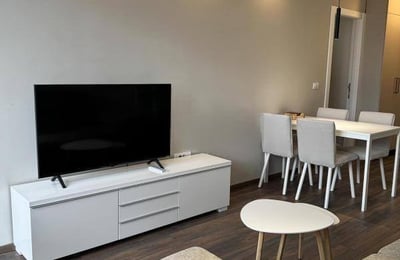 Vermietung einer möblierten 2-Zimmer-Wohnung im Stadtzentrum, 45 m², Belgrad, Serbien